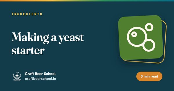 Making a yeast starter