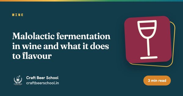 Malolactic fermentation in wine and what it does to flavour