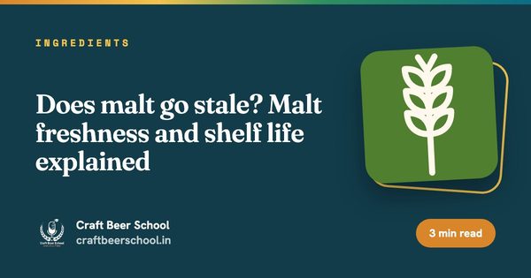 Does malt go stale? Malt freshness and shelf life explained