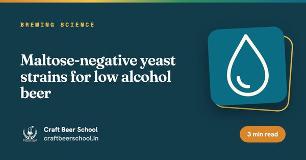 Maltose-negative yeast strains for low alcohol beer