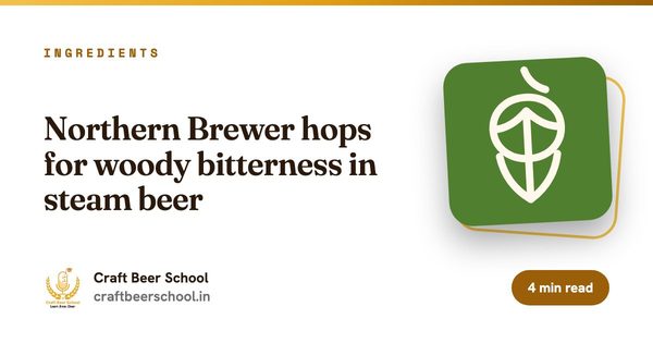 Northern Brewer hops for woody bitterness in steam beer
