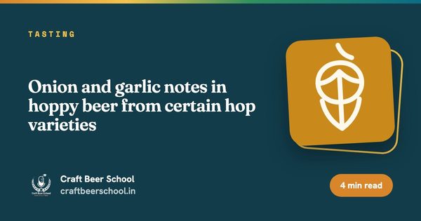 Onion and garlic notes in hoppy beer from certain hop varieties