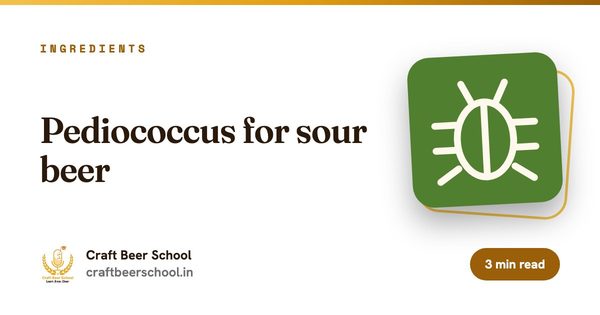 Pediococcus for sour beer