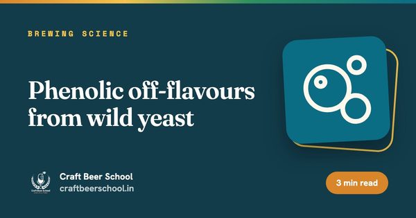Phenolic off-flavours from wild yeast