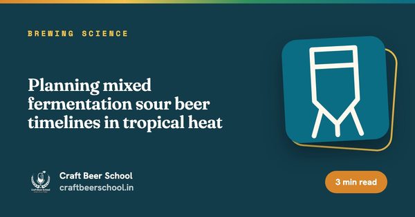 Planning mixed fermentation sour beer timelines in tropical heat