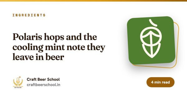 Polaris hops and the cooling mint note they leave in beer