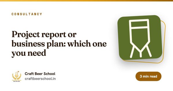 Project report or business plan: which one you need