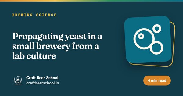 Propagating yeast in a small brewery from a lab culture