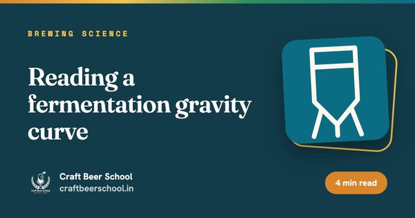 Reading a fermentation gravity curve