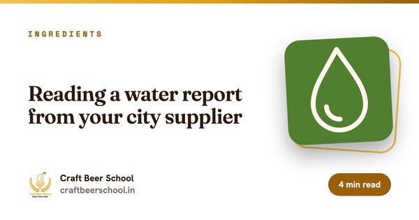 Reading a water report from your city supplier