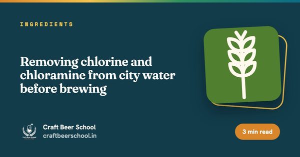 Removing chlorine and chloramine from city water before brewing