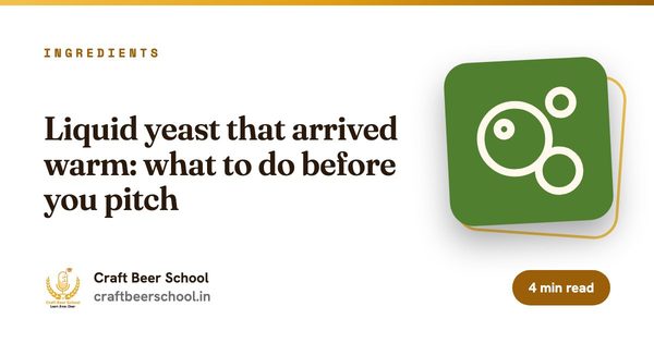 Liquid yeast that arrived warm: what to do before you pitch