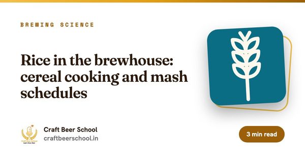 Rice in the brewhouse: cereal cooking and mash schedules