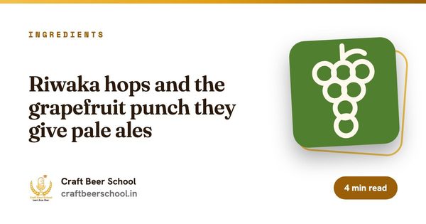 Riwaka hops and the grapefruit punch they give pale ales