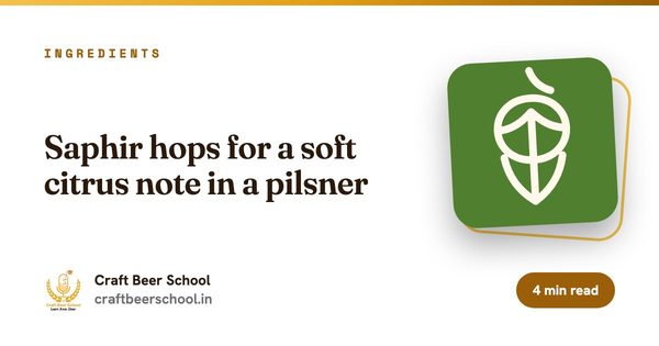 Saphir hops for a soft citrus note in a pilsner