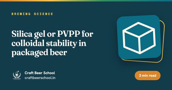 Silica gel or PVPP for colloidal stability in packaged beer