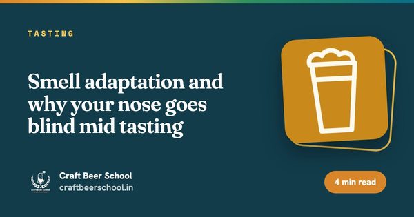 Smell adaptation and why your nose goes blind mid tasting