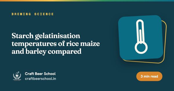 Starch gelatinisation temperatures of rice maize and barley compared