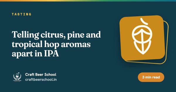 Telling citrus, pine and tropical hop aromas apart in IPA