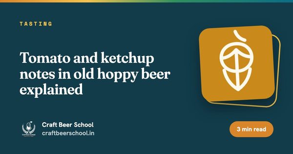 Tomato and ketchup notes in old hoppy beer explained