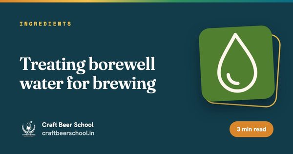 Treating borewell water for brewing
