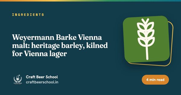 Weyermann Barke Vienna malt: heritage barley, kilned for Vienna lager