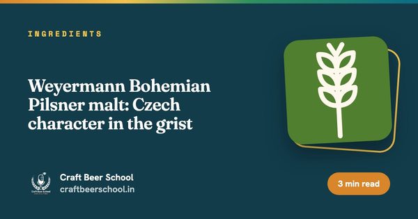 Weyermann Bohemian Pilsner malt: Czech character in the grist