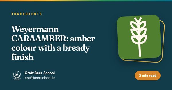 Weyermann CARAAMBER: amber colour with a bready finish
