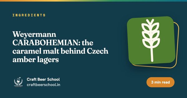 Weyermann CARABOHEMIAN: the caramel malt behind Czech amber lagers