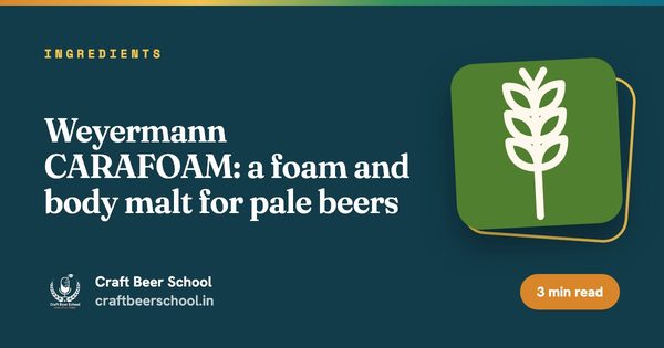 Weyermann CARAFOAM: a foam and body malt for pale beers
