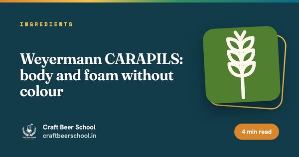Weyermann CARAPILS: body and foam without colour