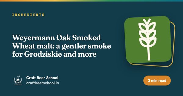 Weyermann Oak Smoked Wheat malt: a gentler smoke for Grodziskie and more