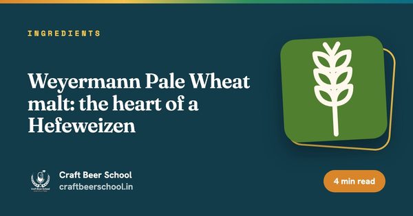 Weyermann Pale Wheat malt: the heart of a Hefeweizen