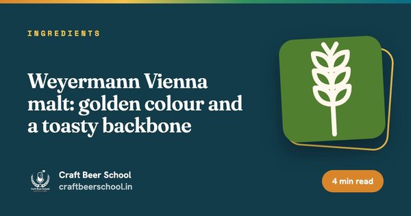 Weyermann Vienna malt: golden colour and a toasty backbone