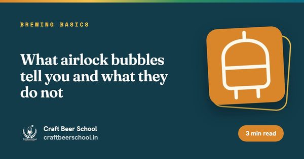 What airlock bubbles tell you and what they do not