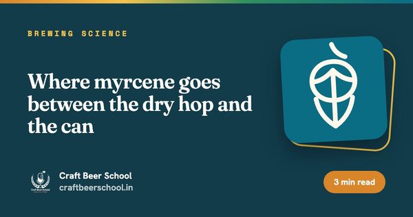 Where myrcene goes between the dry hop and the can
