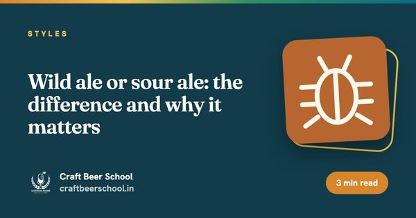 Wild ale or sour ale: the difference and why it matters