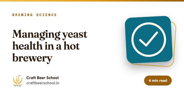 Managing yeast health in a hot brewery