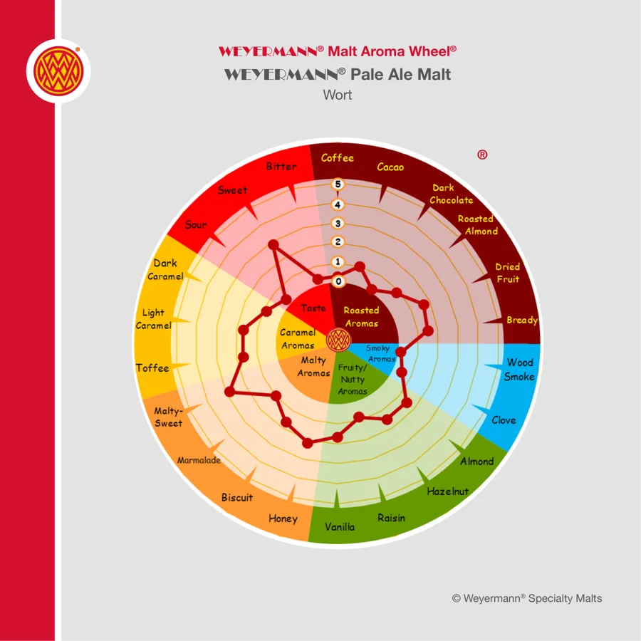 Weyermann Malt Aroma Wheel for Pale Ale Malt, showing the aroma attributes found in its wort